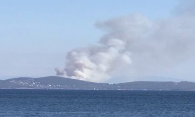 İstanbul Heybeliada’da orman yangını çıktı