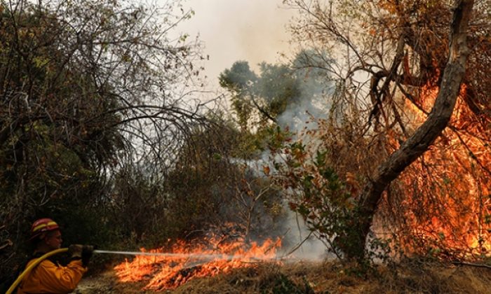 ABD’de Yüzlerce noktada etkili olan yangınlar kontrol altına alınamıyor