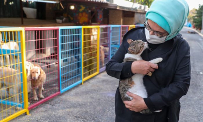 Emine Erdoğan, “4 Ekim Dünya Hayvanları Koruma Günü” dolayısıyla Yedikule Hayvan Barınağı’nı ziyaret etti