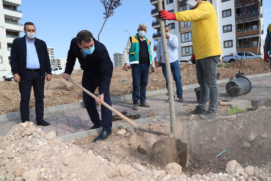 BAŞKAN BAYDİLLİ , PARK ÇALIŞMALARINI İNCELEDİ