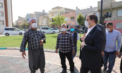 Haliliye Belediye Başkanı Mehmet Canpolat, Sahada Halkla İç İçe