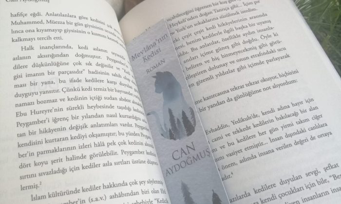 Can Aydoğmuş imzalı Mevlâna’nın Kedisi romanı