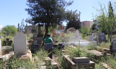 Viranşehir’deki mezarlıklarda temizlik ve bakım çalışmalarına devam ediyor